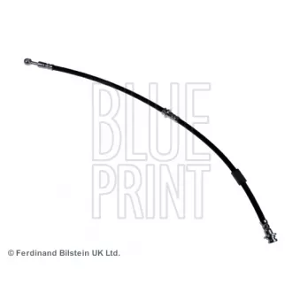 BLUE PRINT ADN153153 - Flexible de frein