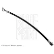 BLUE PRINT ADN153156 - Flexible de frein