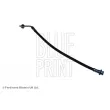 BLUE PRINT ADN153158 - Flexible de frein