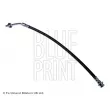 BLUE PRINT ADN153159 - Flexible de frein