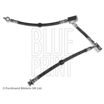 Flexible de frein BLUE PRINT OEM 46210AV00A