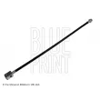 BLUE PRINT ADN153170 - Flexible de frein