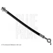 BLUE PRINT ADN153176 - Flexible de frein