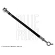 BLUE PRINT ADN153177 - Flexible de frein
