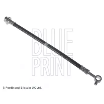 BLUE PRINT ADN153184 - Flexible de frein