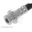 BLUE PRINT ADN153221 - Flexible de frein