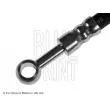 BLUE PRINT ADN153240 - Flexible de frein