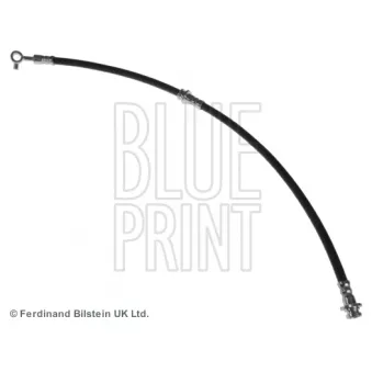 BLUE PRINT ADN153249 - Flexible de frein