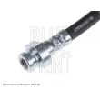 BLUE PRINT ADN153254 - Flexible de frein arrière droit