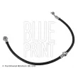 BLUE PRINT ADN153273 - Flexible de frein avant droit