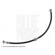 BLUE PRINT ADN153274 - Flexible de frein avant droit