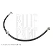 BLUE PRINT ADN153280 - Flexible de frein avant gauche