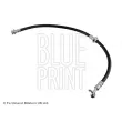 BLUE PRINT ADN153281 - Flexible de frein