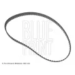 Courroie crantée BLUE PRINT [ADN17505]