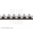 BLUE PRINT ADN17520 - Courroie crantée