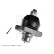 BLUE PRINT ADN186112 - Rotule de suspension