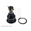Rotule de suspension BLUE PRINT [ADN186128]