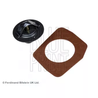 Thermostat d'eau BLUE PRINT OEM 21200V0200