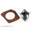 BLUE PRINT ADN19206 - Thermostat d'eau