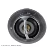 BLUE PRINT ADN19218 - Thermostat d'eau