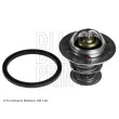 BLUE PRINT ADN19222 - Thermostat d'eau