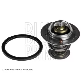 Thermostat d'eau BLUE PRINT OEM 212009F600