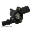BLUE PRINT ADN19239 - Thermostat d'eau