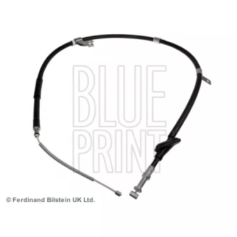 BLUE PRINT ADS74625 - Tirette à câble, frein de stationnement arrière droit