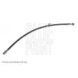 BLUE PRINT ADS75350 - Flexible de frein avant droit