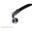 BLUE PRINT ADS75359 - Flexible de frein
