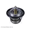 BLUE PRINT ADS79207 - Thermostat d'eau