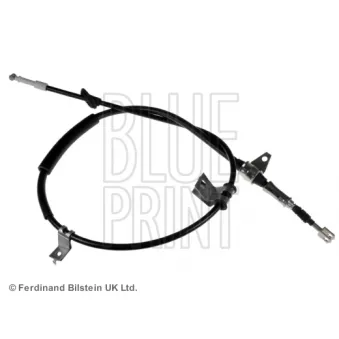BLUE PRINT ADT346361 - Tirette à câble, frein de stationnement arrière droit