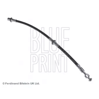 BLUE PRINT ADT353106 - Flexible de frein