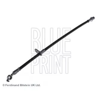 Flexible de frein BLUE PRINT OEM 9008094103