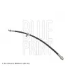 BLUE PRINT ADT353116 - Flexible de frein