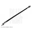 Flexible de frein BLUE PRINT [ADT353136]