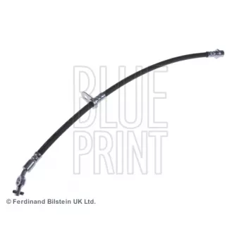 Flexible de frein avant gauche BLUE PRINT OEM 9008094061