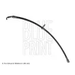 BLUE PRINT ADT353146 - Flexible de frein