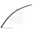BLUE PRINT ADT353164 - Flexible de frein avant gauche