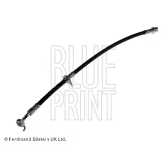 BLUE PRINT ADT353214 - Flexible de frein arrière droit