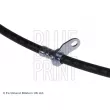 BLUE PRINT ADT353214 - Flexible de frein arrière droit