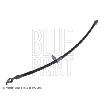 BLUE PRINT ADT353218 - Flexible de frein avant droit