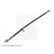 Flexible de frein BLUE PRINT [ADT353220]