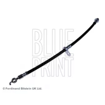 BLUE PRINT ADT353237 - Flexible de frein avant droit