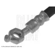 BLUE PRINT ADT353301 - Flexible de frein