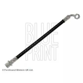 Flexible de frein BLUE PRINT OEM 9094702D32