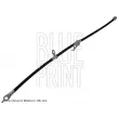 BLUE PRINT ADT353338 - Flexible de frein avant droit
