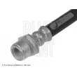 BLUE PRINT ADT353338 - Flexible de frein avant droit