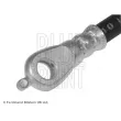 BLUE PRINT ADT353338 - Flexible de frein avant droit