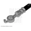 BLUE PRINT ADT353340 - Flexible de frein avant gauche